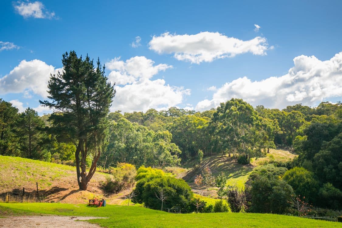 Lot 1 Onkaparinga Road, VERDUN, SA 5245, Verdun - Image 1
