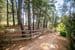 Lot 1 Onkaparinga Road, VERDUN, SA 5245, Verdun - Thumbnail 4