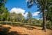 Lot 1 Onkaparinga Road, VERDUN, SA 5245, Verdun - Thumbnail 5