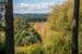 Lot 1 Onkaparinga Road, VERDUN, SA 5245, Verdun - Thumbnail 6