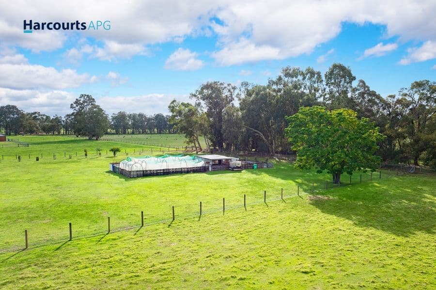 77 Timperley Street, BOYANUP, WA 6237, Boyanup - Thumbnail 6