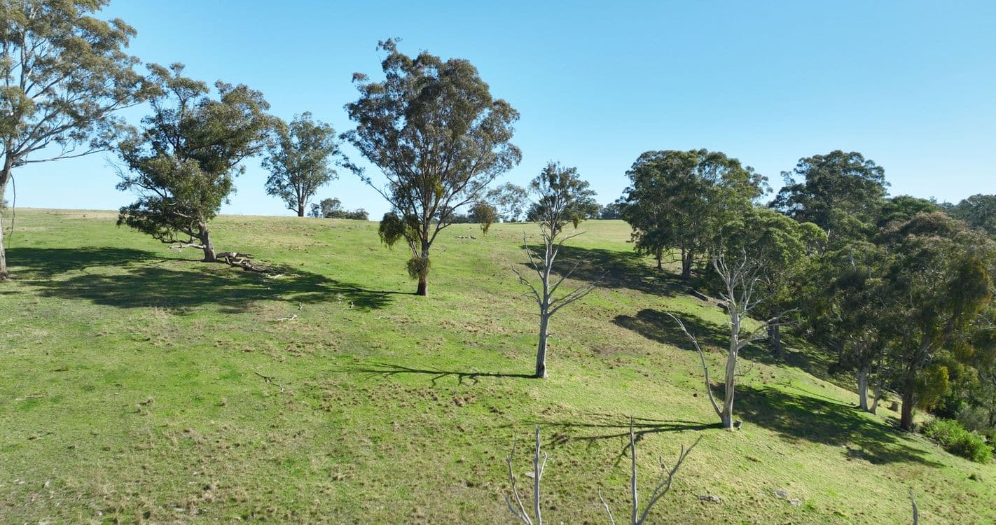 68 Chambers Road, BRUTHEN, VIC 3885, Bruthen - Thumbnail 8