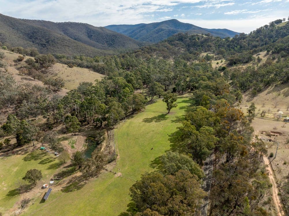 799 Cassilis Road, SWIFTS CREEK, VIC 3896, Swifts Creek - Thumbnail 3