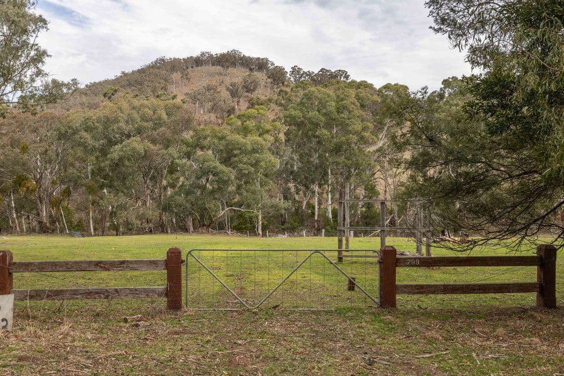 799 Cassilis Road, SWIFTS CREEK, VIC 3896, Swifts Creek - Thumbnail 4
