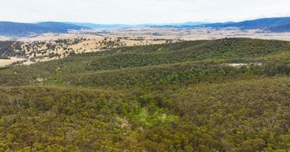 175 Kangaroo Track, OMEO, VIC 3898, Omeo - Image 1