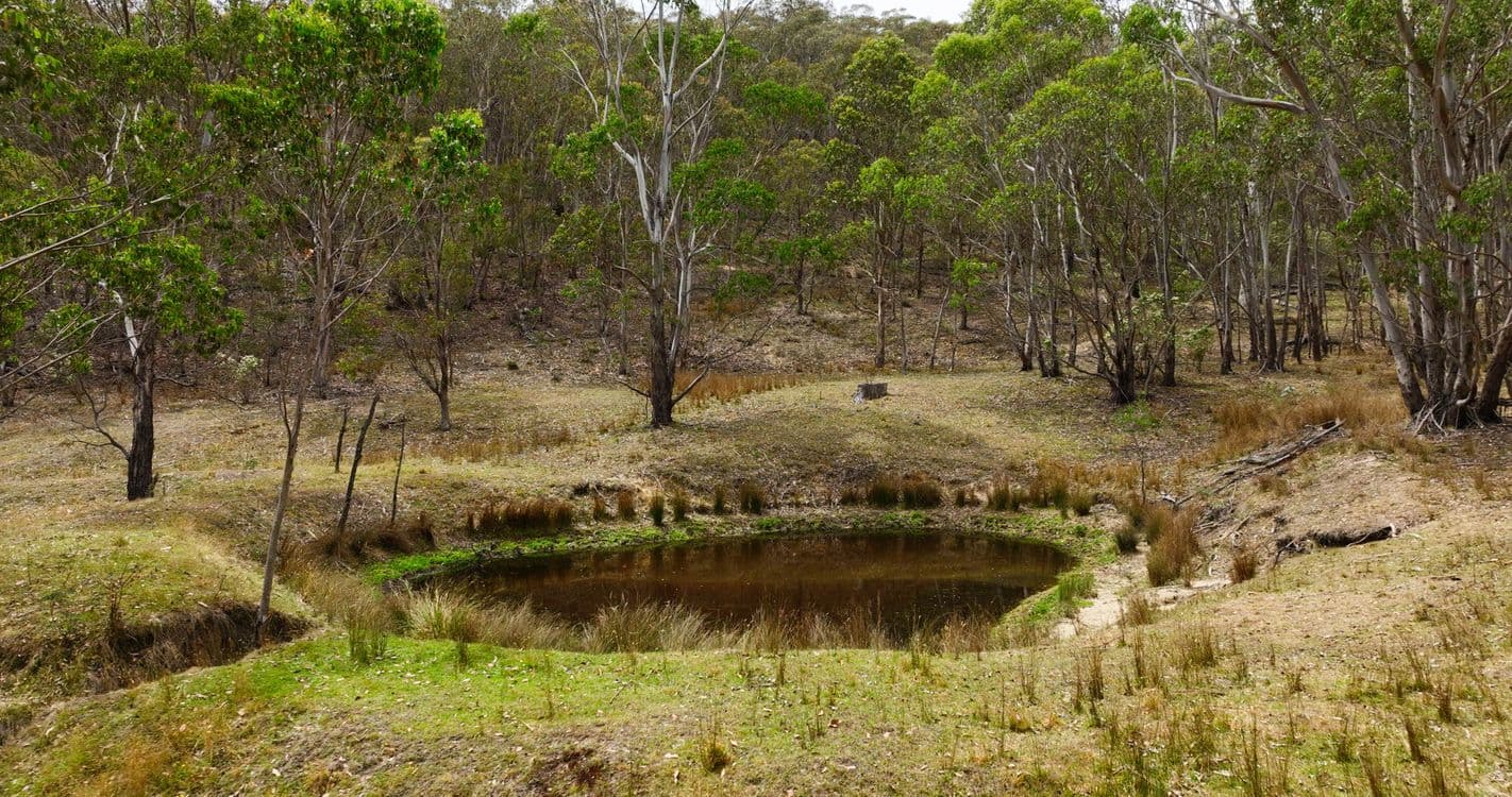 175 Kangaroo Track, OMEO, VIC 3898, Omeo - Thumbnail 4