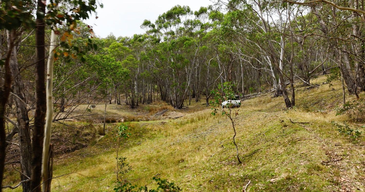 175 Kangaroo Track, OMEO, VIC 3898, Omeo - Thumbnail 5