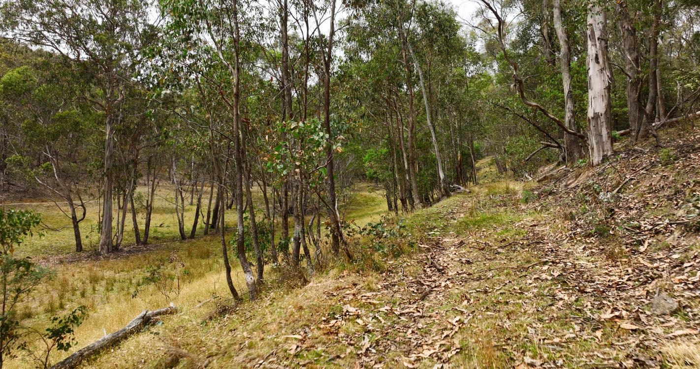 175 Kangaroo Track, OMEO, VIC 3898, Omeo - Thumbnail 6