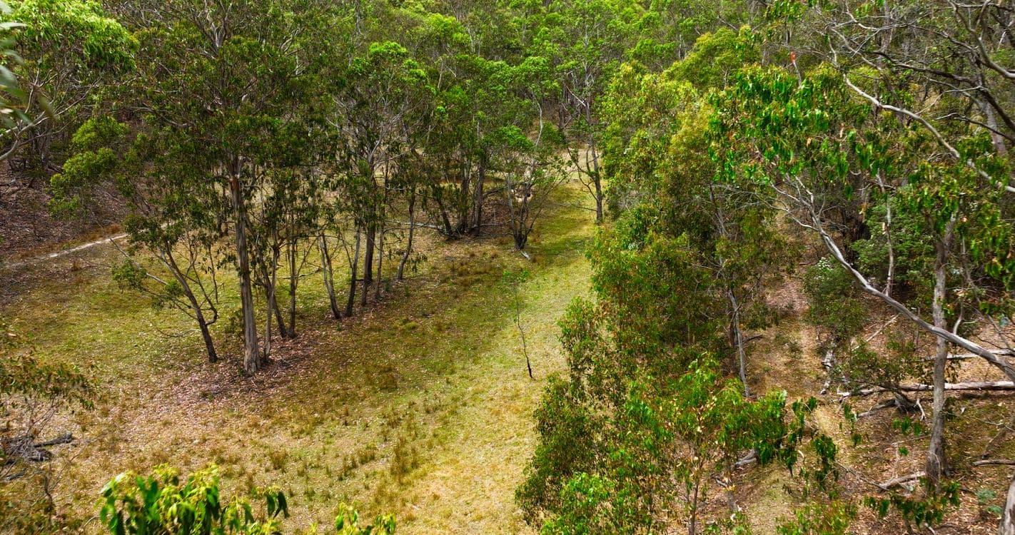 175 Kangaroo Track, OMEO, VIC 3898, Omeo - Thumbnail 7