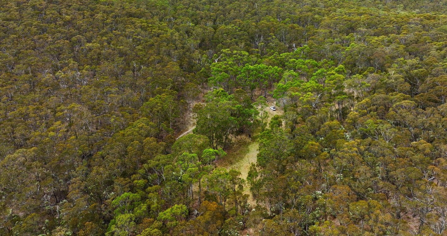 175 Kangaroo Track, OMEO, VIC 3898, Omeo - Thumbnail 8