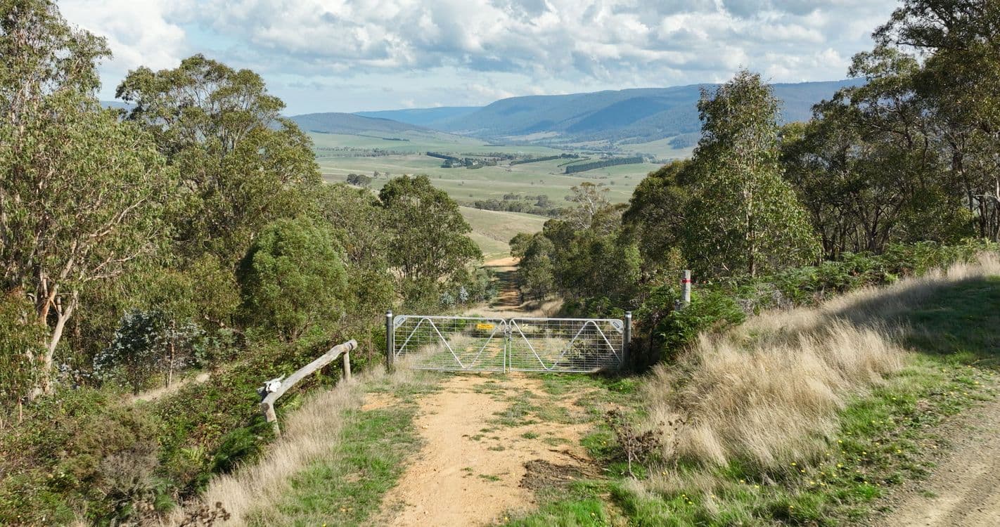 135 Leonard Drive, OMEO, VIC 3898, Omeo - Thumbnail 3