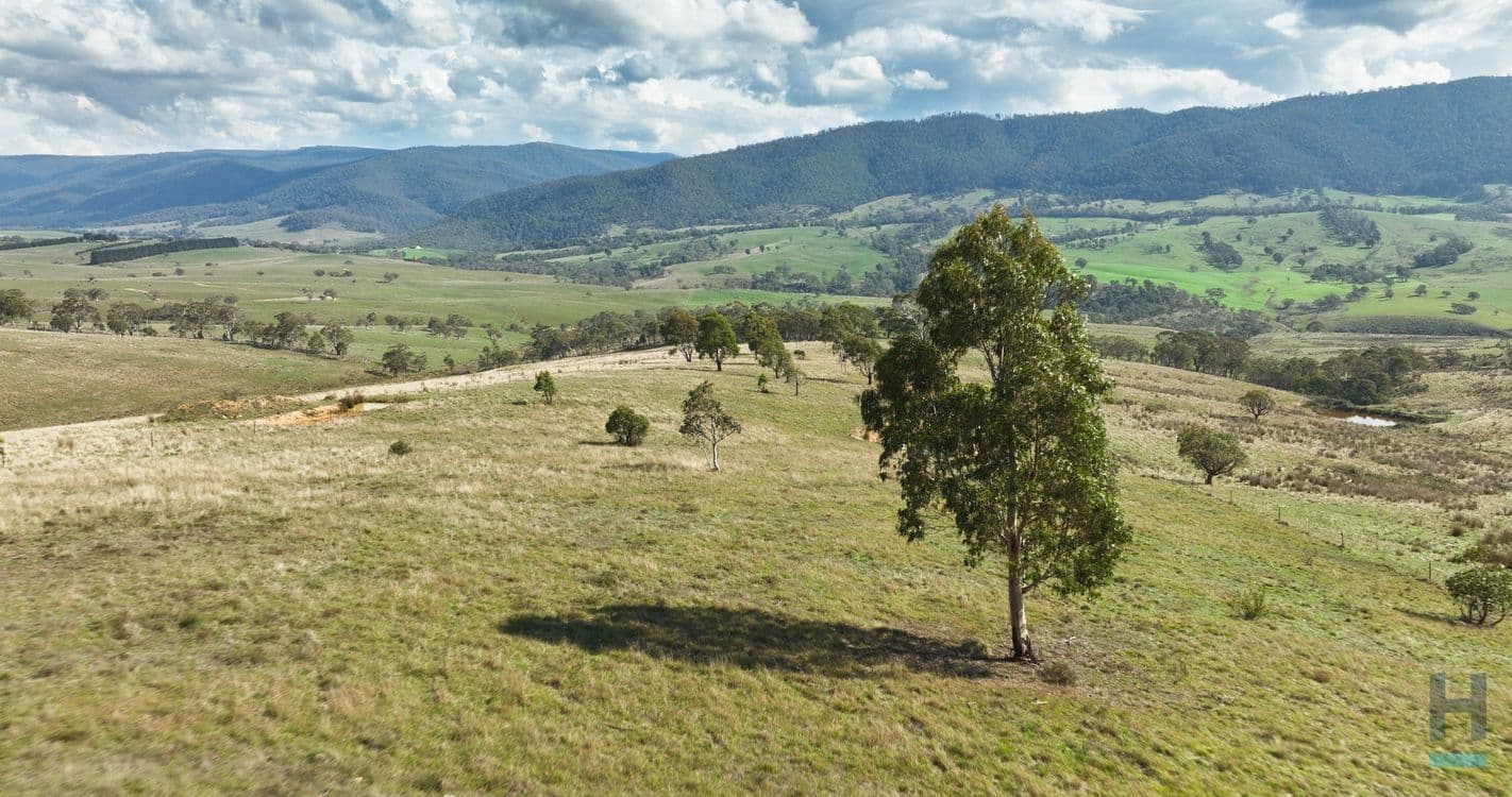 135 Leonard Drive, OMEO, VIC 3898, Omeo - Thumbnail 4