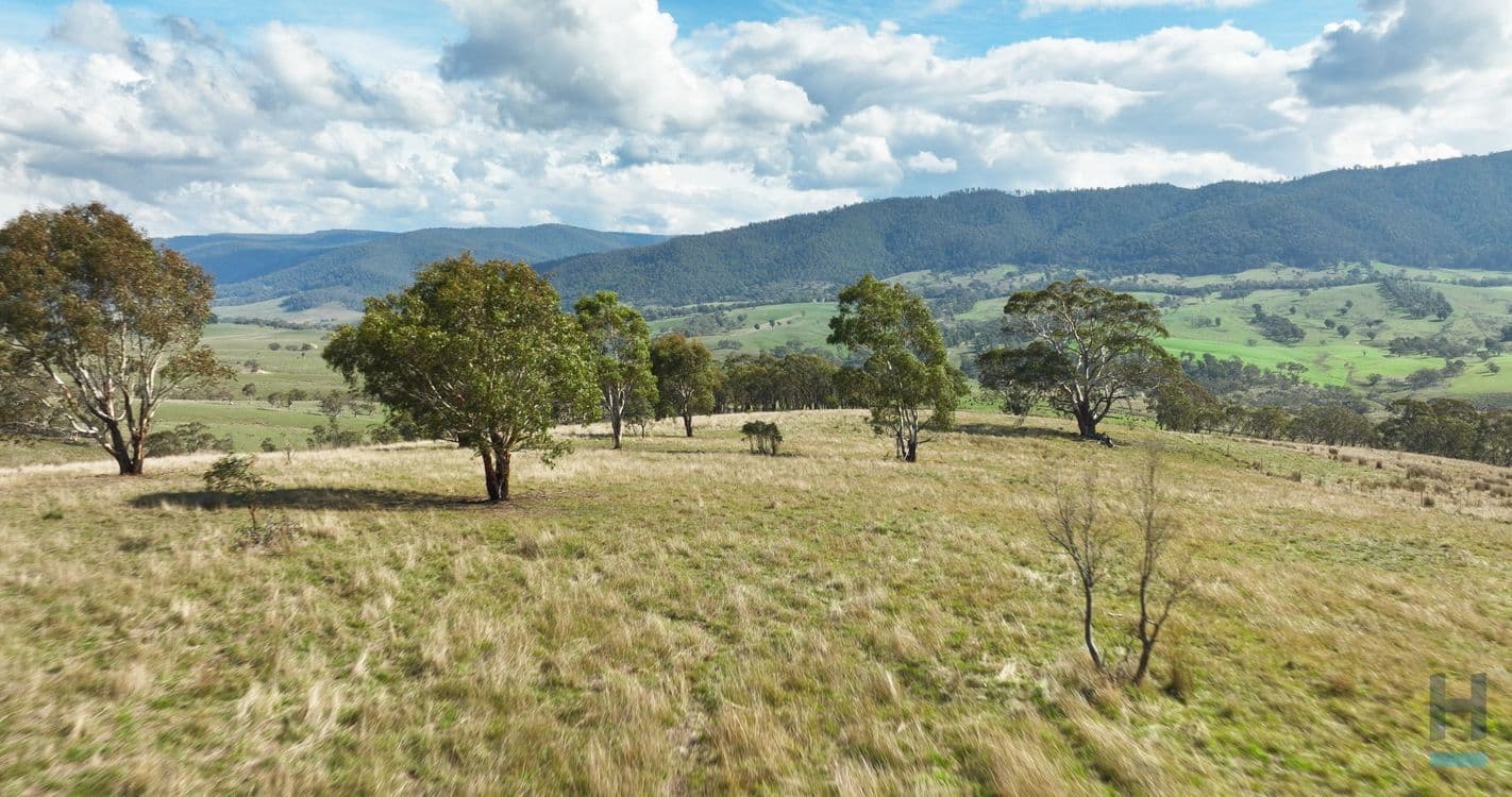 135 Leonard Drive, OMEO, VIC 3898, Omeo - Thumbnail 5