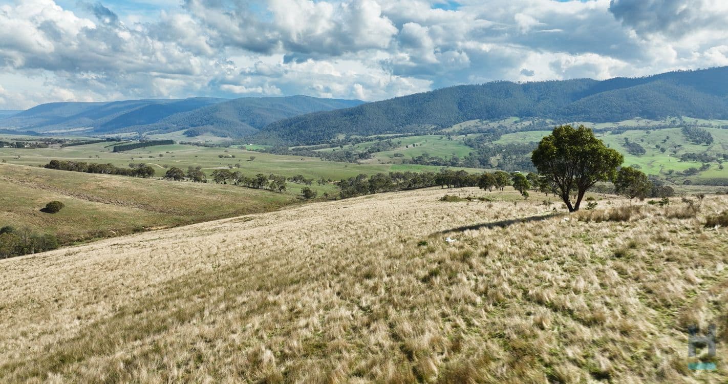 135 Leonard Drive, OMEO, VIC 3898, Omeo - Thumbnail 6
