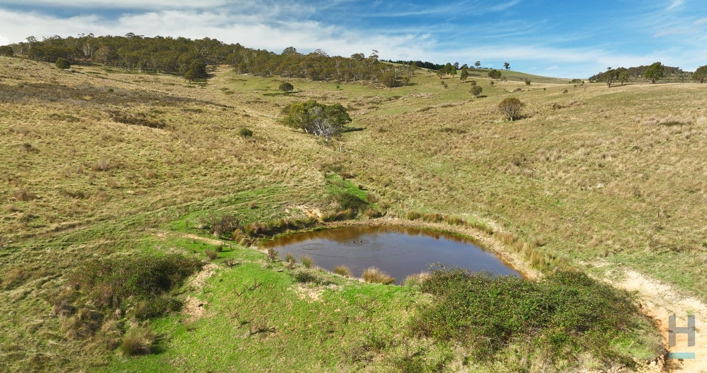 135 Leonard Drive, OMEO, VIC 3898, Omeo - Thumbnail 7