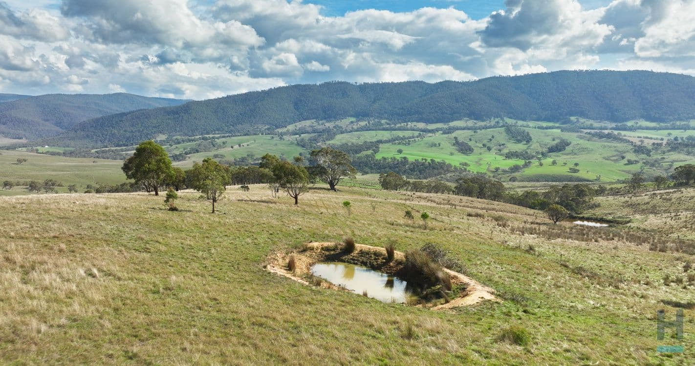 135 Leonard Drive, OMEO, VIC 3898, Omeo - Thumbnail 8