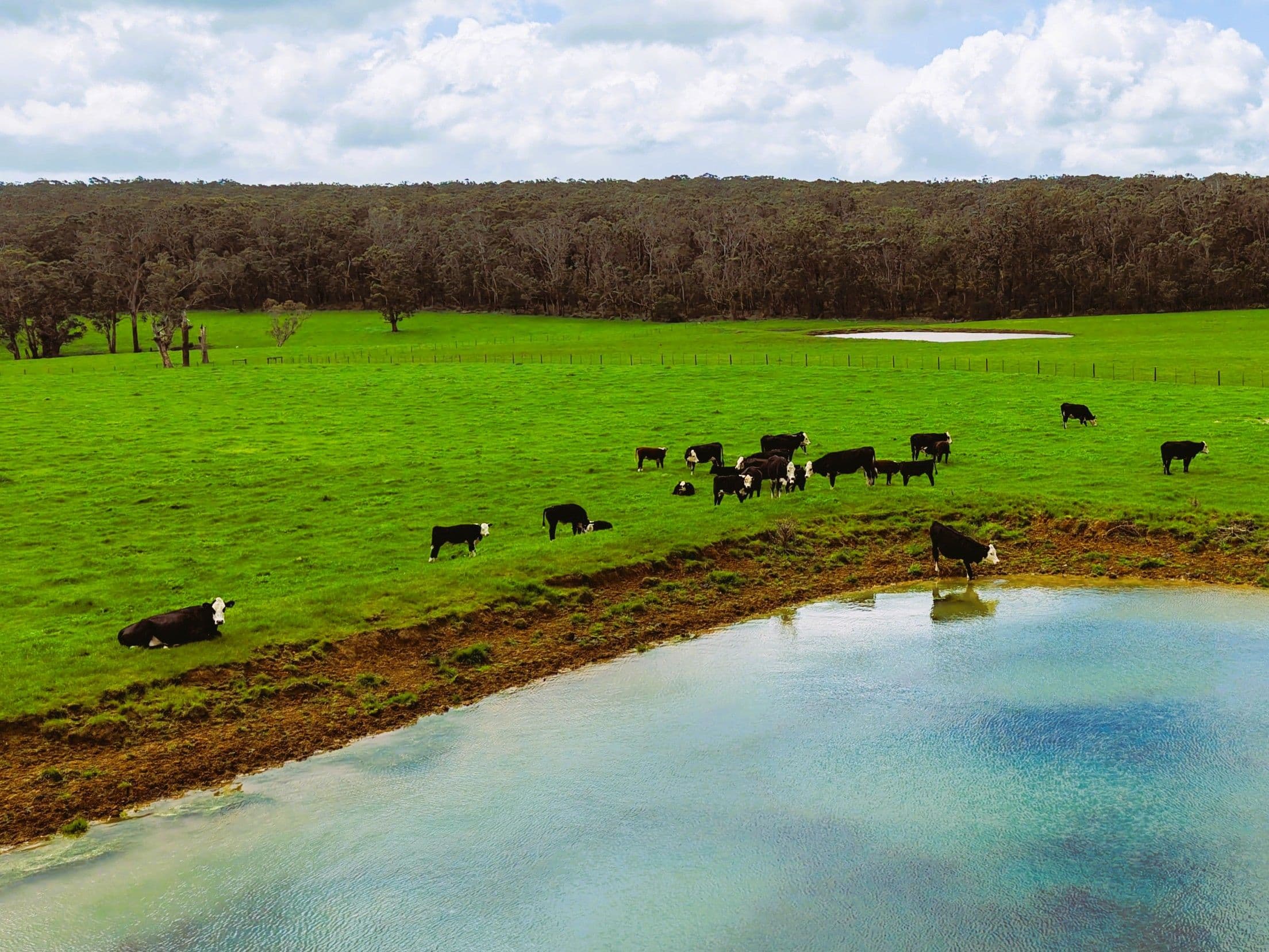149 Timboon-Port Campbell Road , Timboon VIC 3268, Timboon - Thumbnail 6