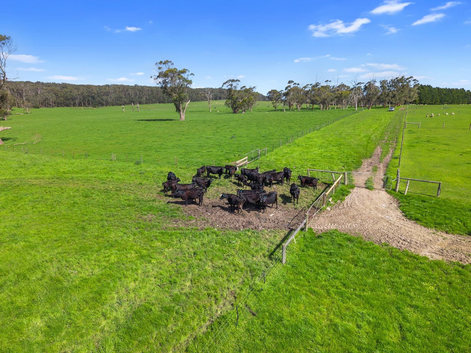 149 Timboon-Port Campbell Road , Timboon VIC 3268, Timboon - Thumbnail 8