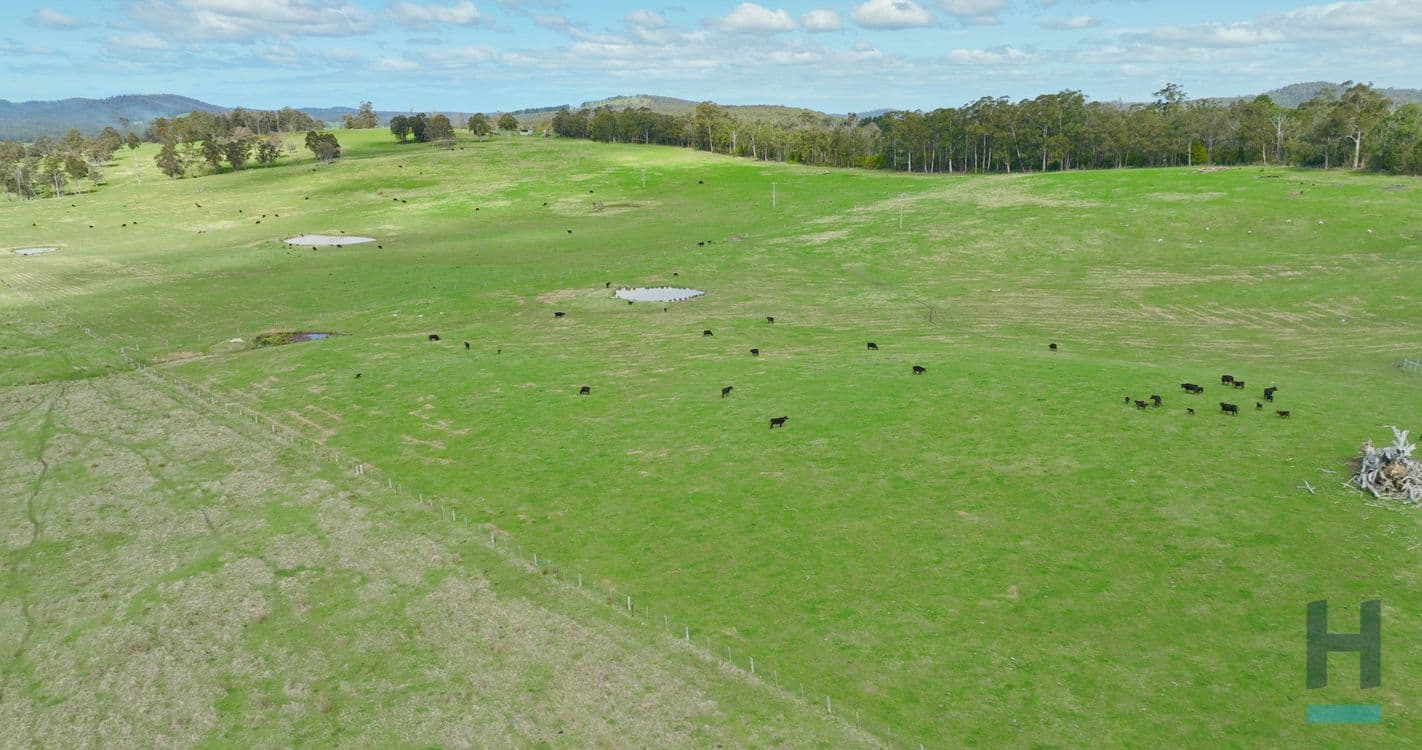 320 Buchan South Buchan South, BUCHAN SOUTH, VIC 3885, Buchan South - Thumbnail 2