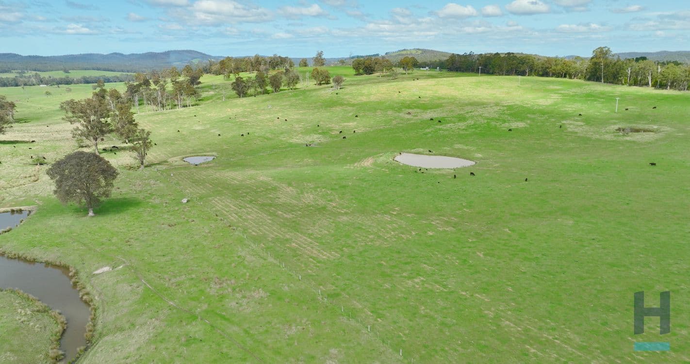 320 Buchan South Buchan South, BUCHAN SOUTH, VIC 3885, Buchan South - Thumbnail 3