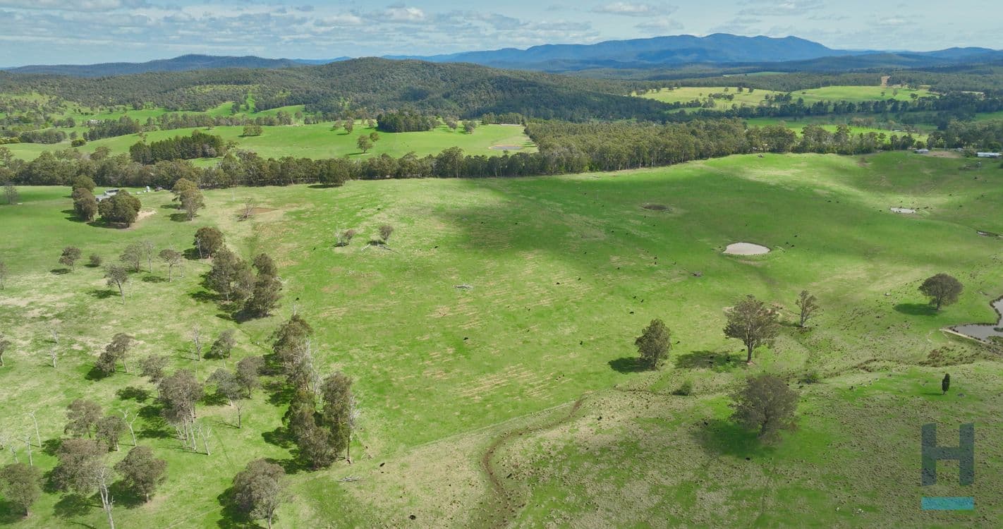 320 Buchan South Buchan South, BUCHAN SOUTH, VIC 3885, Buchan South - Thumbnail 4