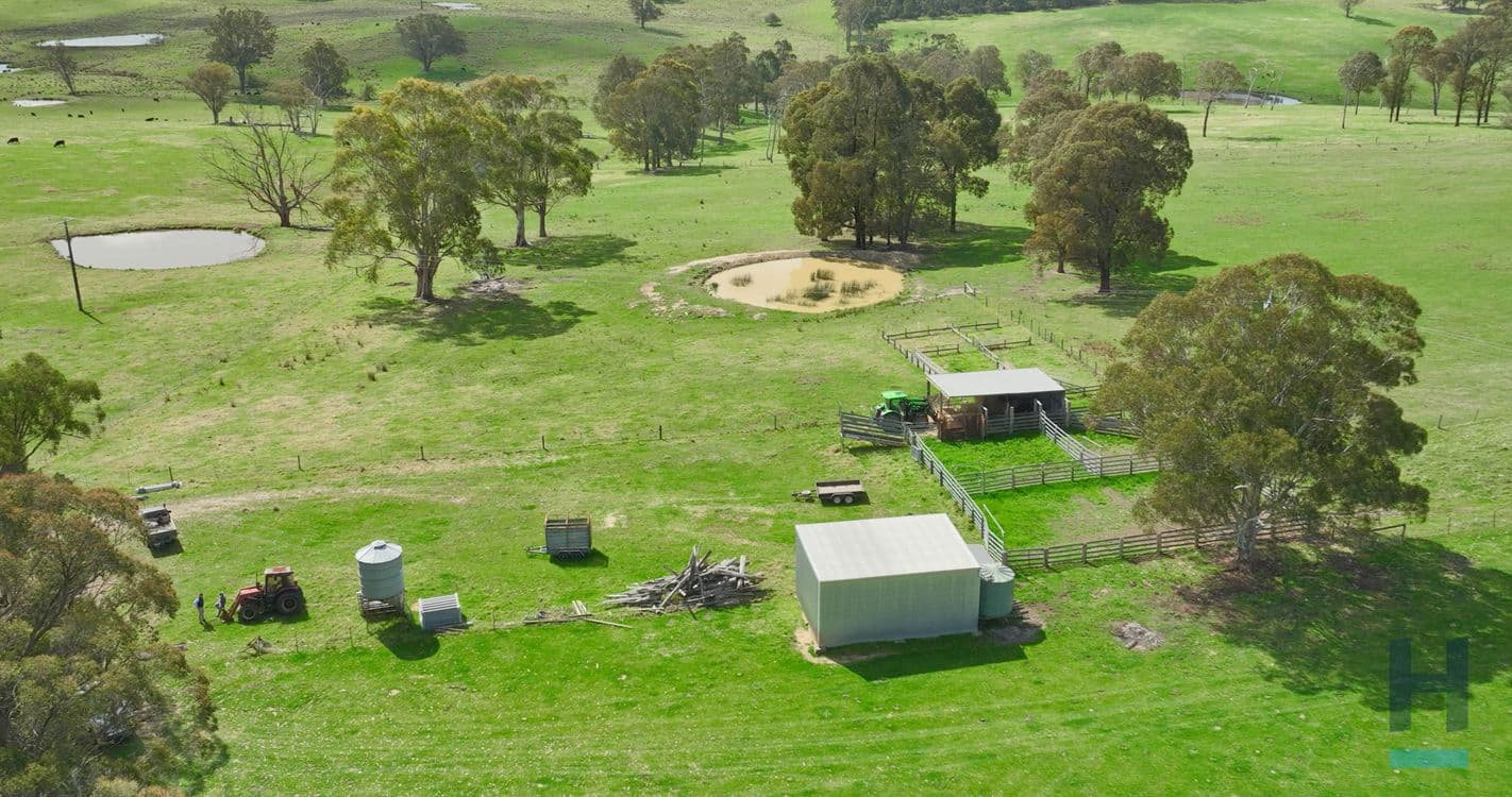 320 Buchan South Buchan South, BUCHAN SOUTH, VIC 3885, Buchan South - Thumbnail 5