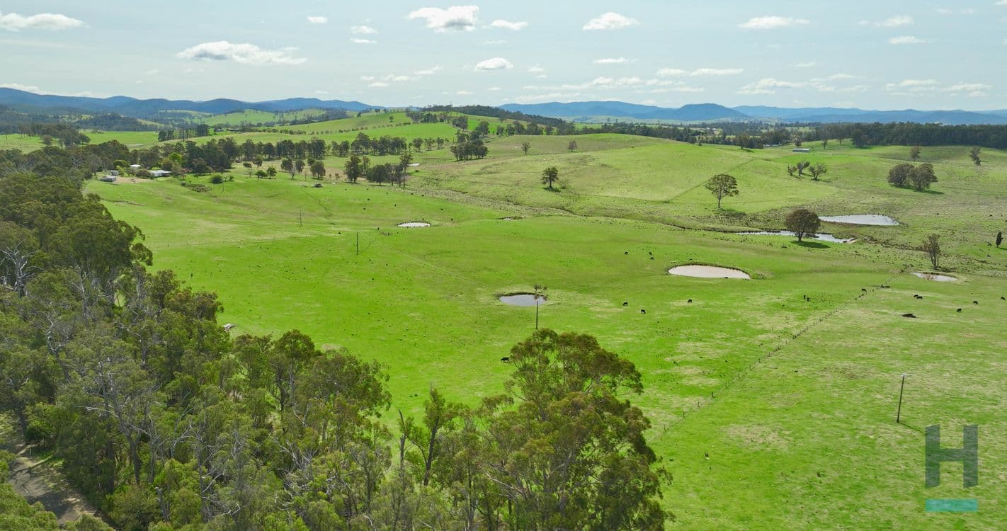 320 Buchan South Buchan South, BUCHAN SOUTH, VIC 3885, Buchan South - Thumbnail 7