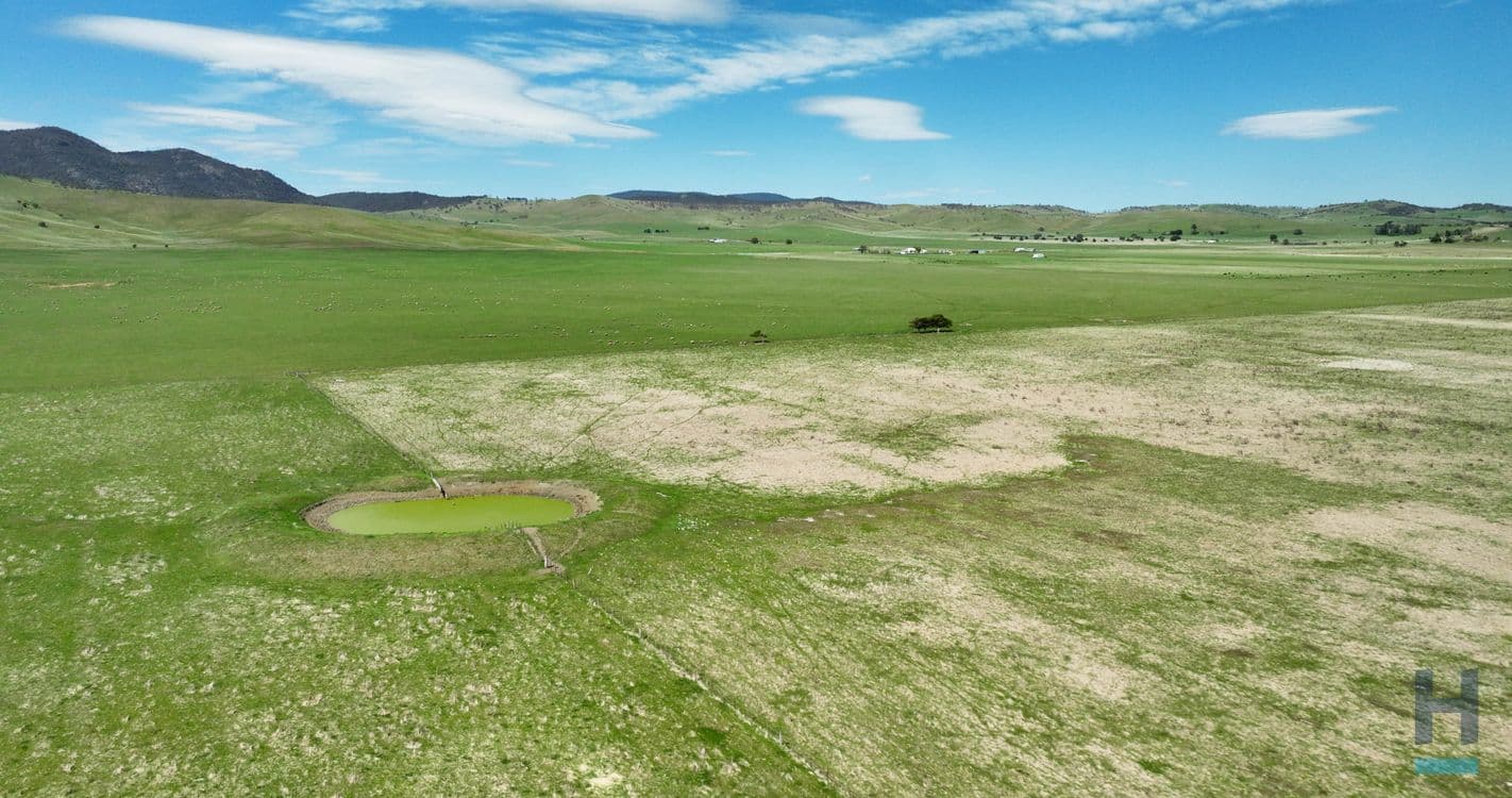 355 Lake Omeo Road, BENAMBRA, VIC 3900, Benambra - Thumbnail 5