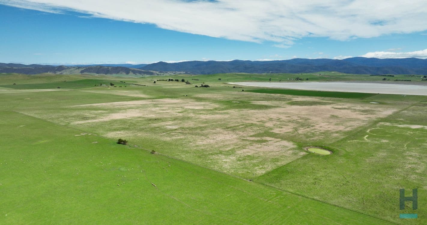 355 Lake Omeo Road, BENAMBRA, VIC 3900, Benambra - Thumbnail 6