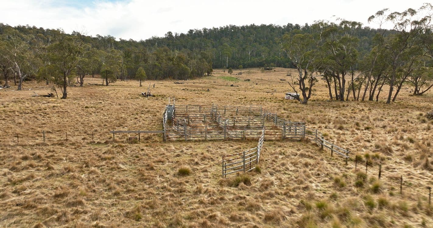 923 Beloka Road, BENAMBRA, VIC 3900, Benambra - Thumbnail 6