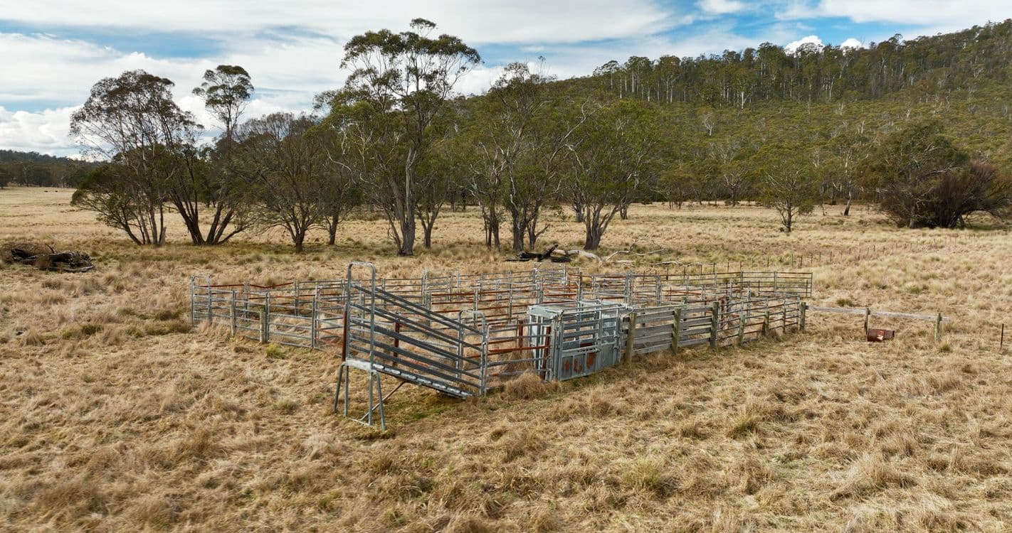923 Beloka Road, BENAMBRA, VIC 3900, Benambra - Thumbnail 7