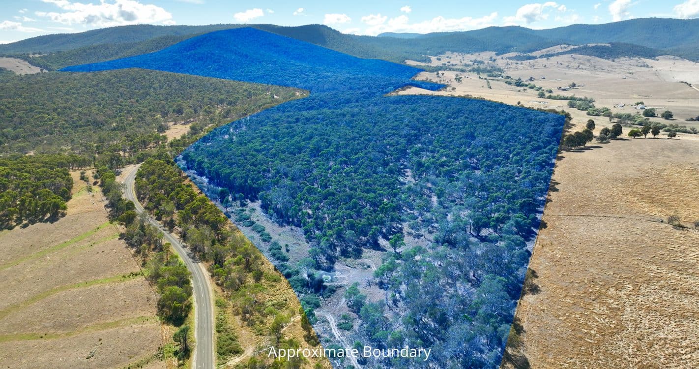 1008 Limestone Road, BENAMBRA, VIC 3900, Benambra - Image 1
