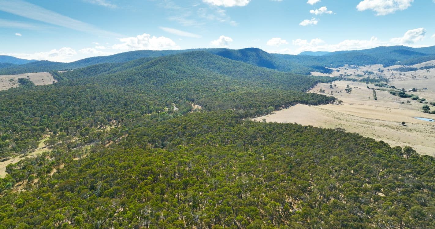 1008 Limestone Road, BENAMBRA, VIC 3900, Benambra - Thumbnail 2