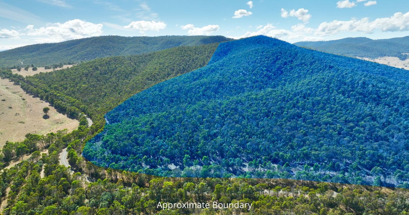 1008 Limestone Road, BENAMBRA, VIC 3900, Benambra - Thumbnail 6