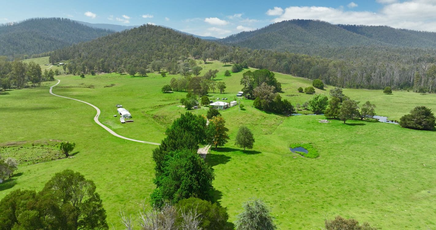 6884 Bonang Road, GOONGERAH, VIC 3888, Goongerah - Thumbnail 2