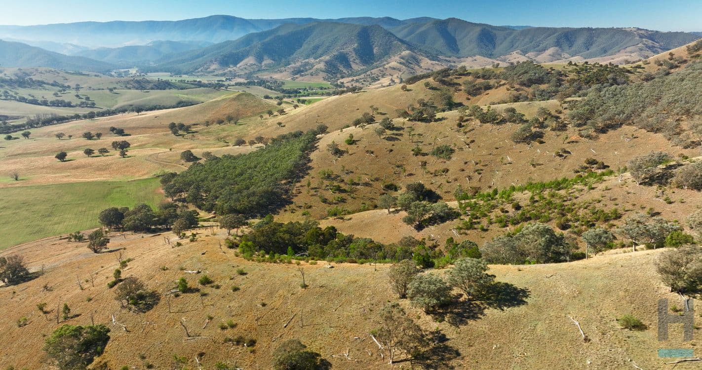 570B Bald Hills Creek Road, SWIFTS CREEK, VIC 3896, Swifts Creek - Image 1
