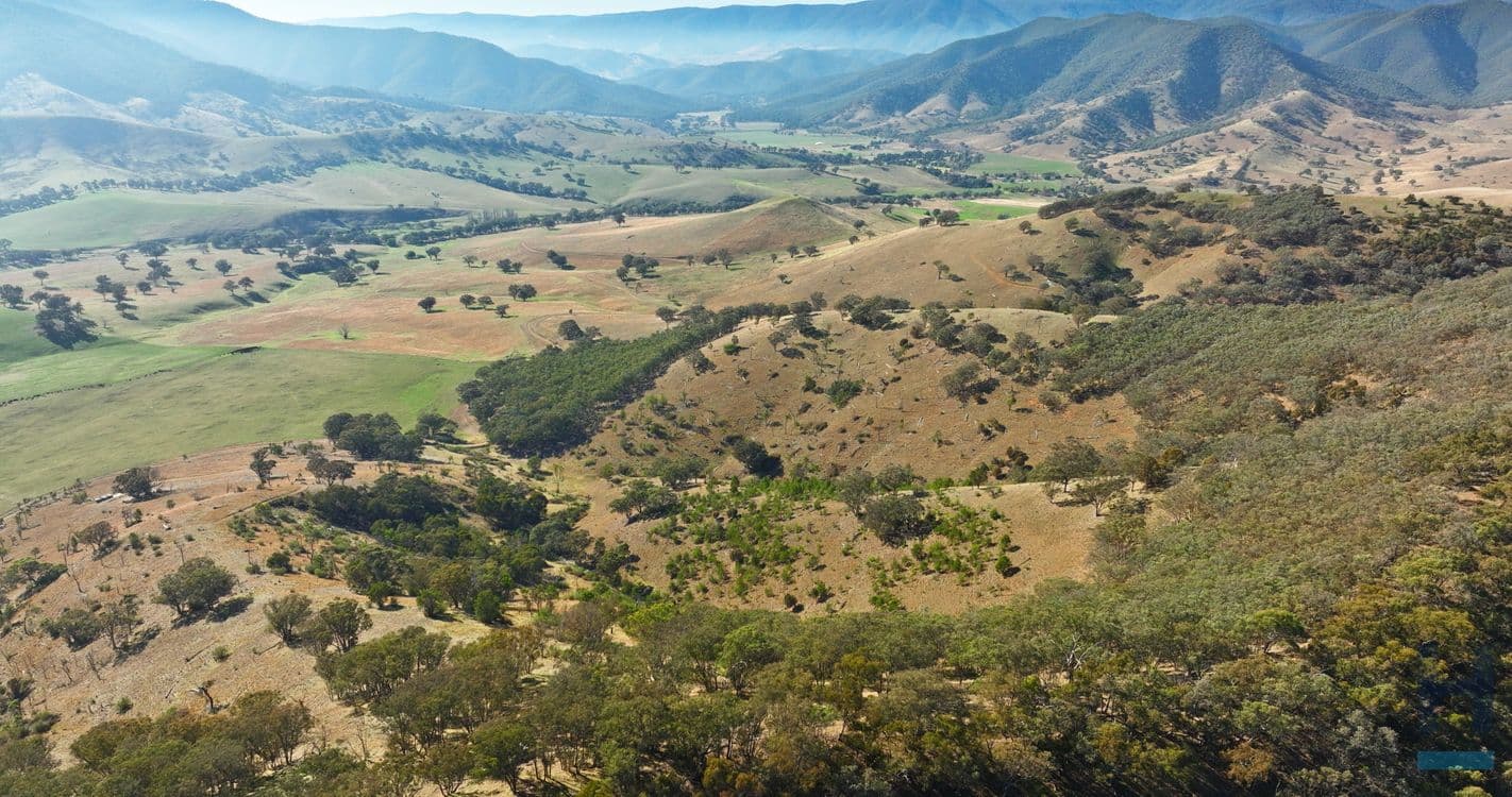 570B Bald Hills Creek Road, SWIFTS CREEK, VIC 3896, Swifts Creek - Thumbnail 2