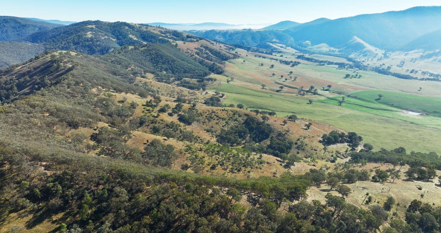570B Bald Hills Creek Road, SWIFTS CREEK, VIC 3896, Swifts Creek - Thumbnail 3
