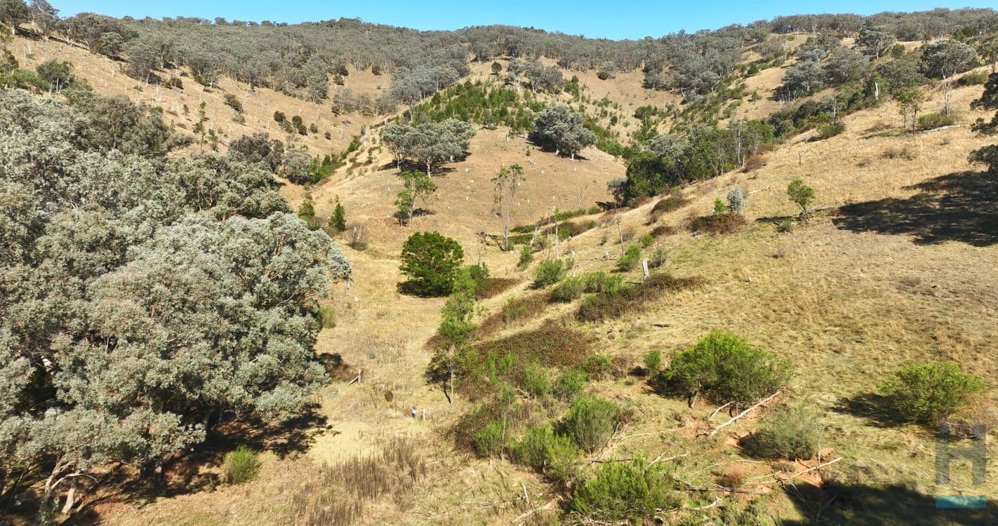 570B Bald Hills Creek Road, SWIFTS CREEK, VIC 3896, Swifts Creek - Thumbnail 5