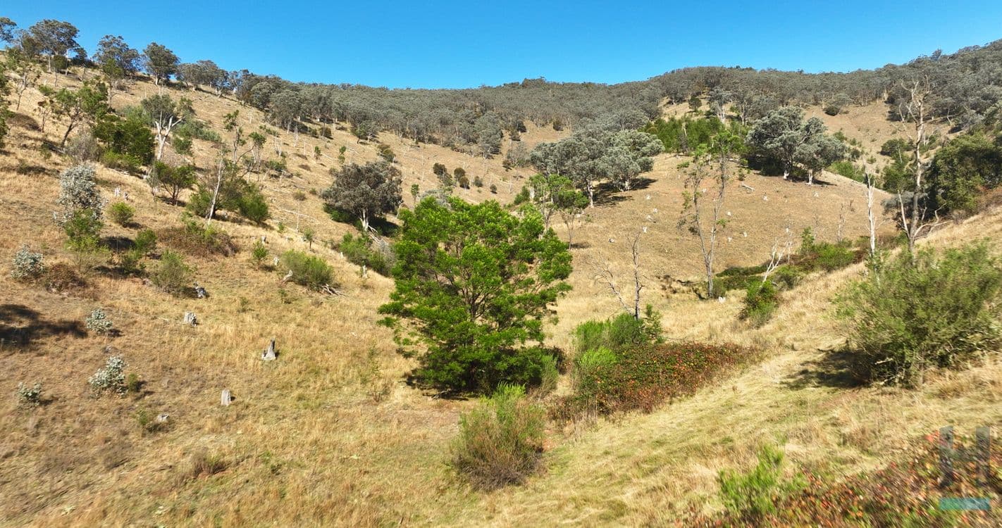 570B Bald Hills Creek Road, SWIFTS CREEK, VIC 3896, Swifts Creek - Thumbnail 6