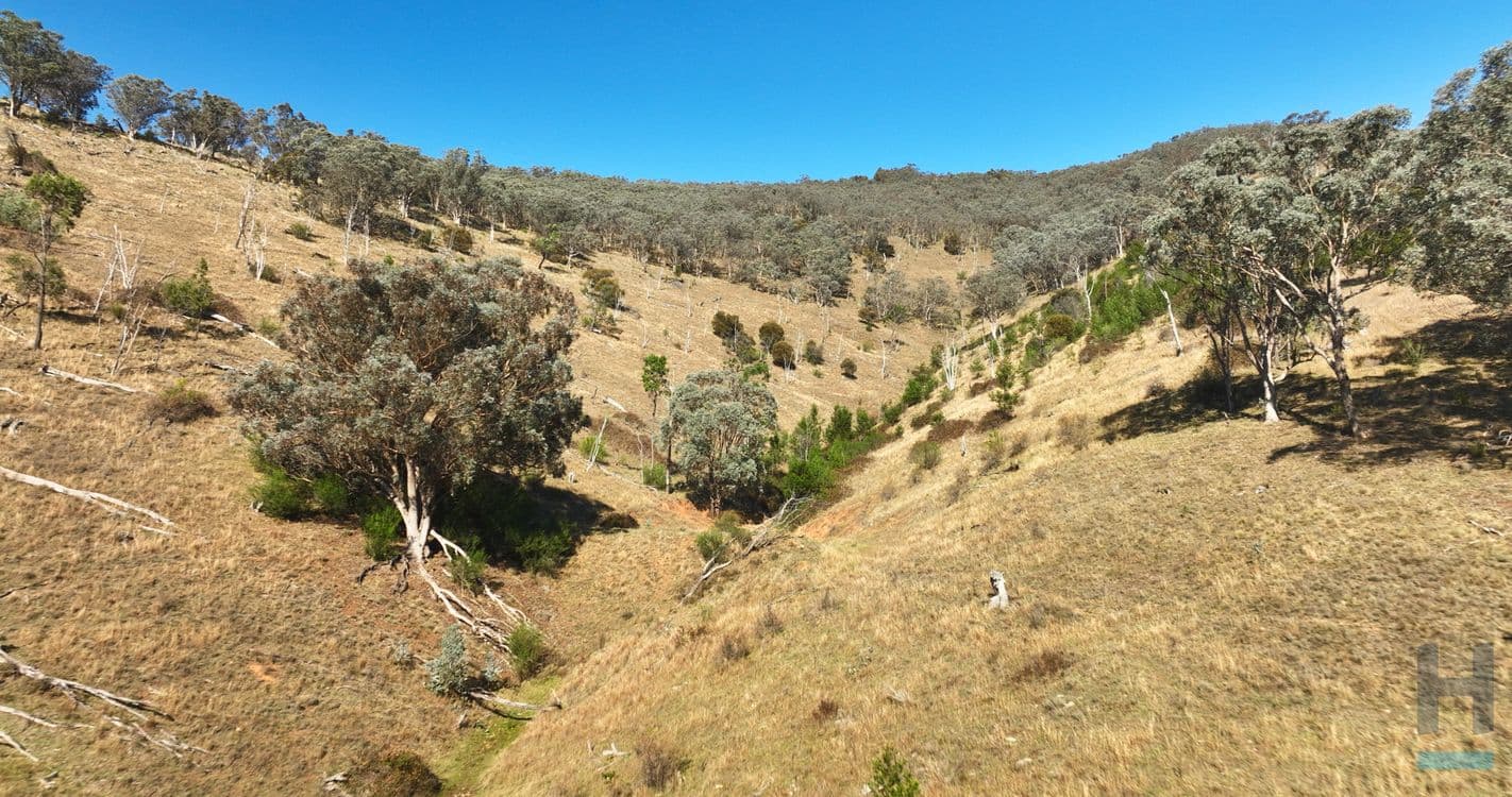 570B Bald Hills Creek Road, SWIFTS CREEK, VIC 3896, Swifts Creek - Thumbnail 7