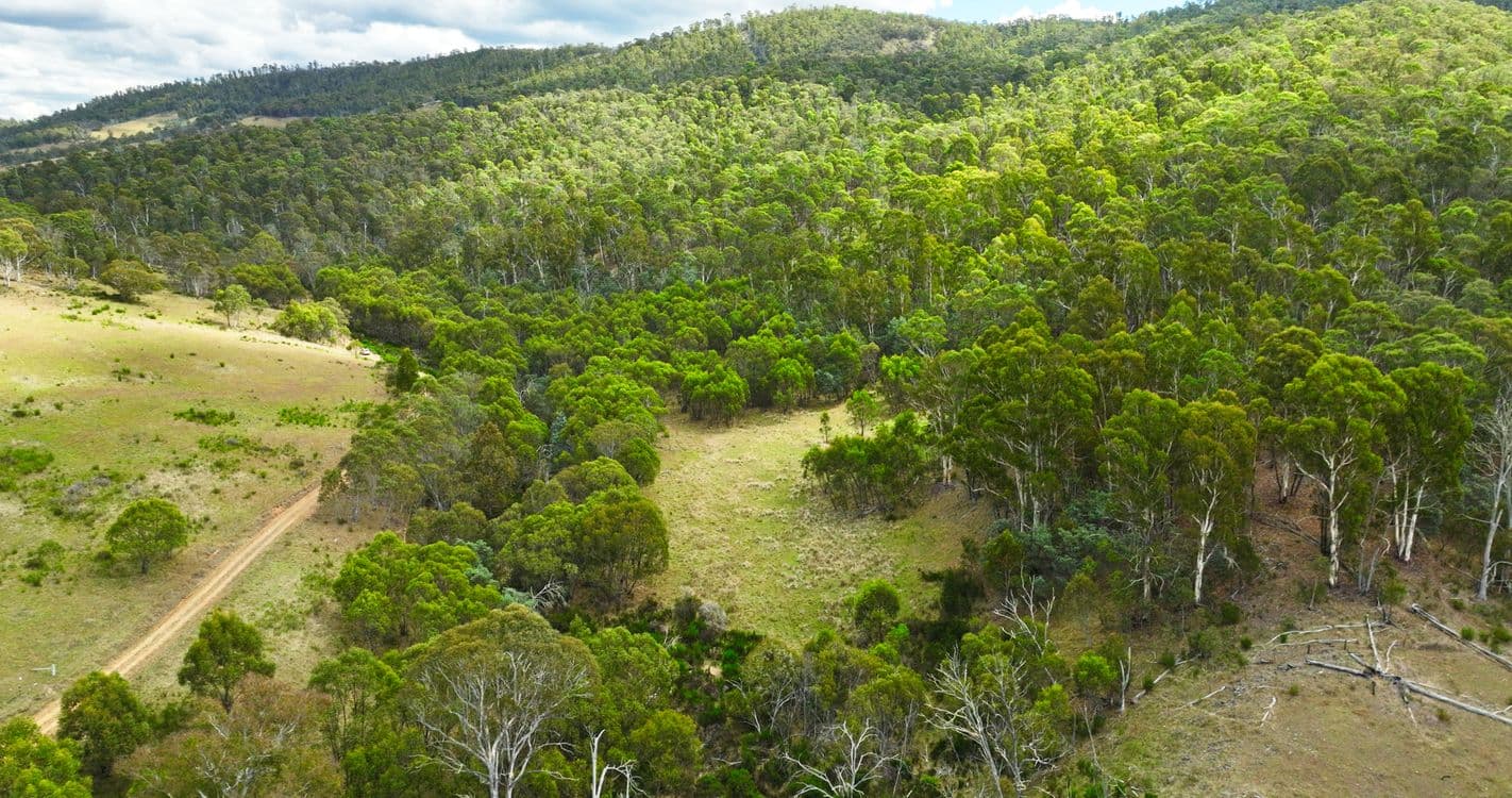 456 Bingo Tice Road, OMEO, VIC 3898, Omeo - Image 1