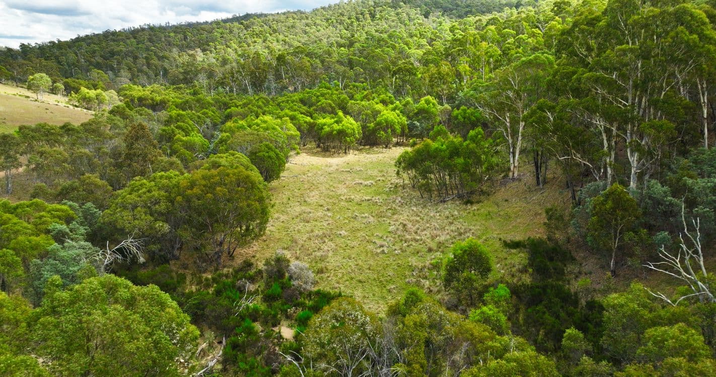 456 Bingo Tice Road, OMEO, VIC 3898, Omeo - Thumbnail 2