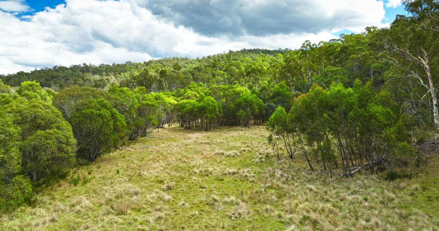 456 Bingo Tice Road, OMEO, VIC 3898, Omeo - Thumbnail 3