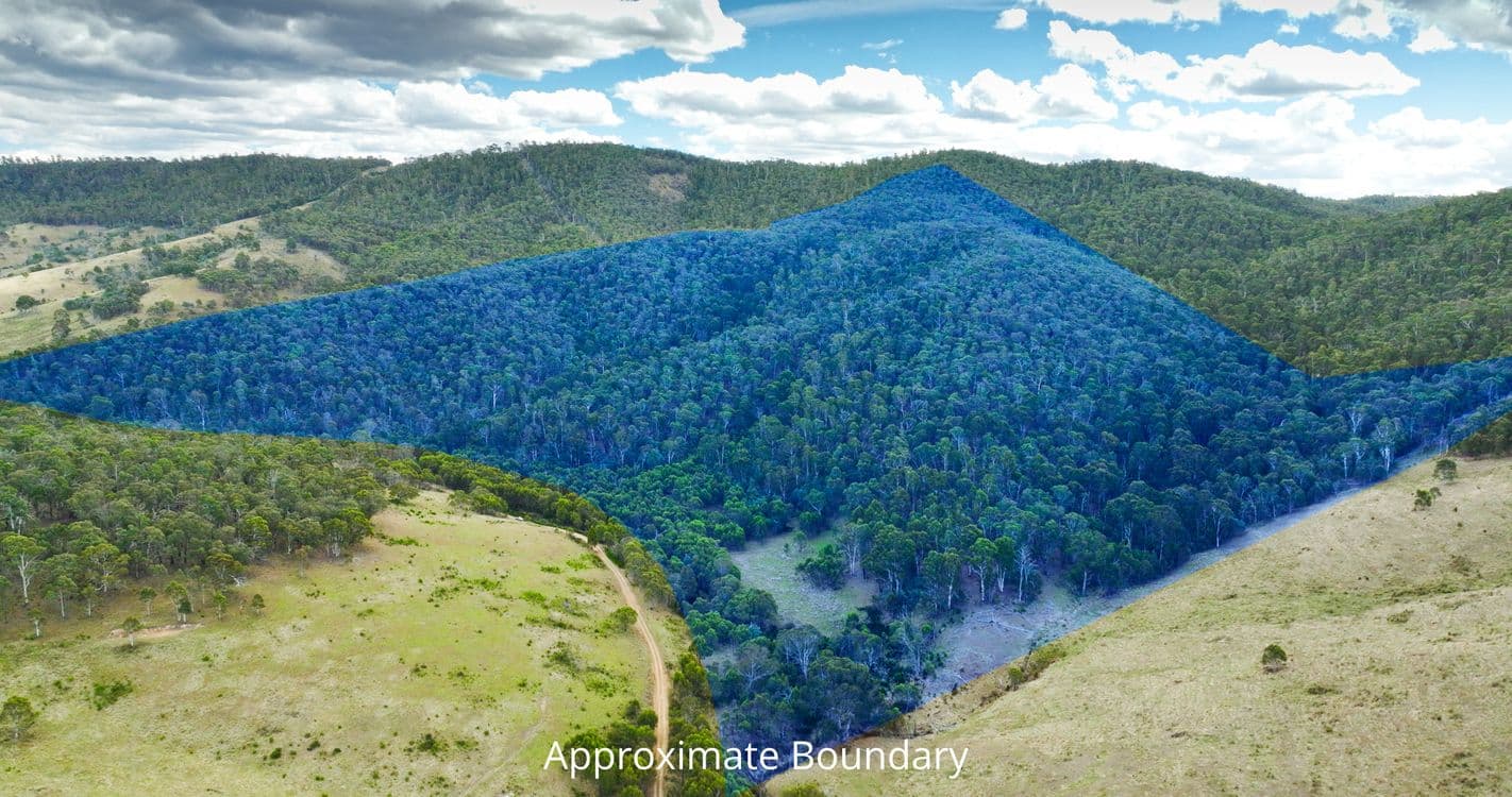 456 Bingo Tice Road, OMEO, VIC 3898, Omeo - Thumbnail 4