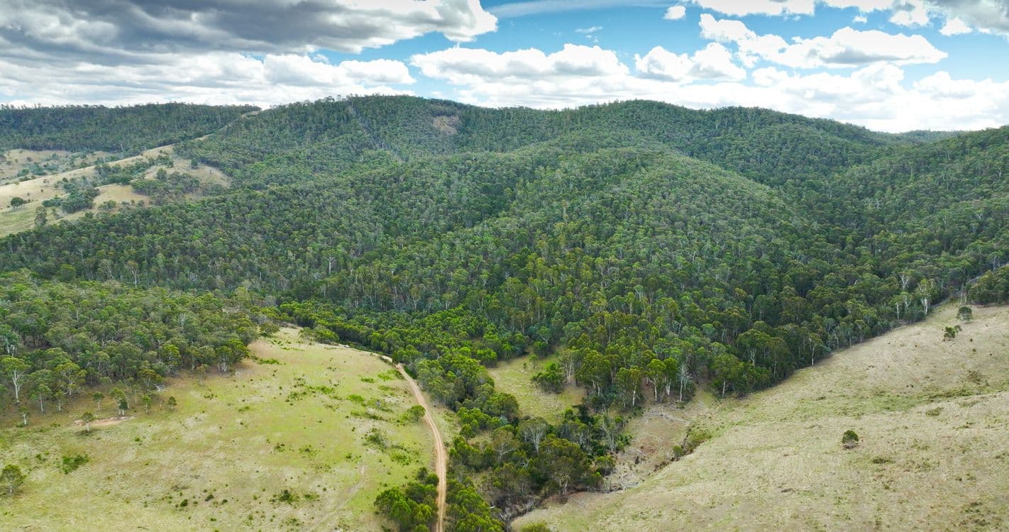 456 Bingo Tice Road, OMEO, VIC 3898, Omeo - Thumbnail 5