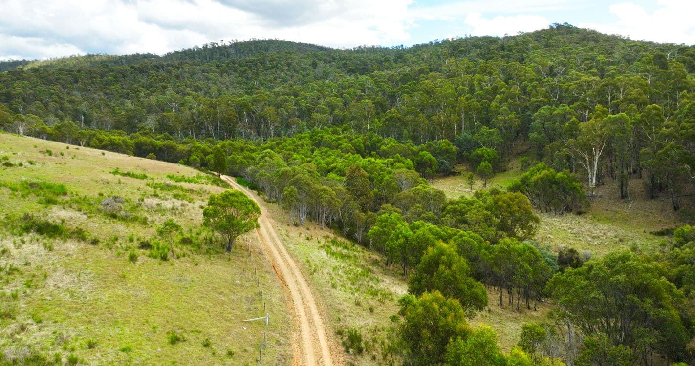 456 Bingo Tice Road, OMEO, VIC 3898, Omeo - Thumbnail 6