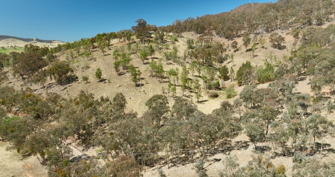 151 Cassilis Road, SWIFTS CREEK, VIC 3896, Swifts Creek - Thumbnail 3