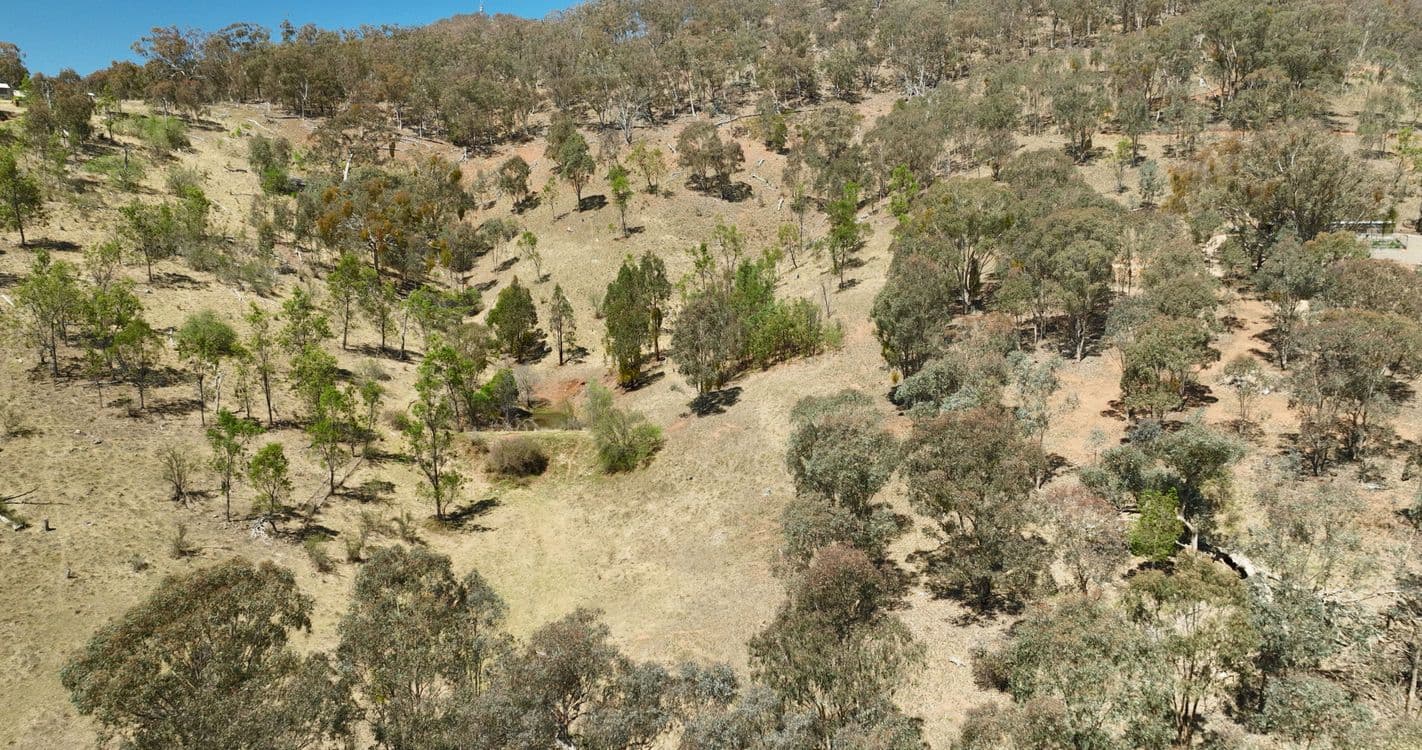 151 Cassilis Road, SWIFTS CREEK, VIC 3896, Swifts Creek - Thumbnail 4