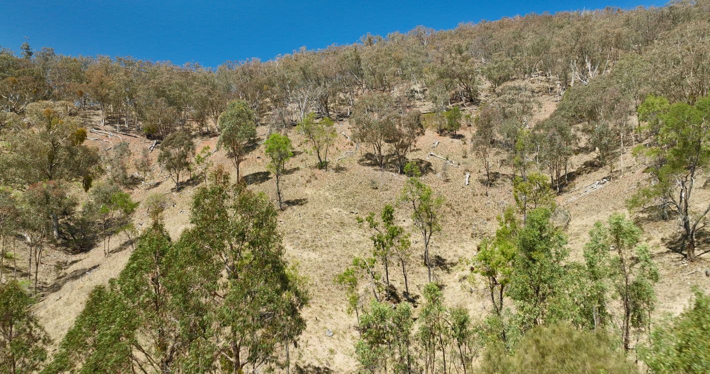 151 Cassilis Road, SWIFTS CREEK, VIC 3896, Swifts Creek - Thumbnail 5
